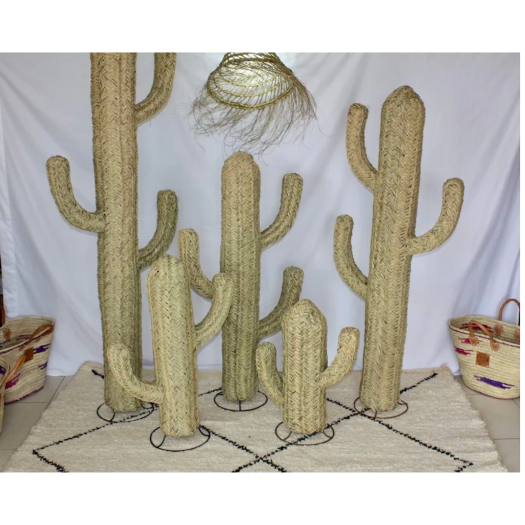 Handmade Alfa Fiber Cactus – Natural Decorative Plant